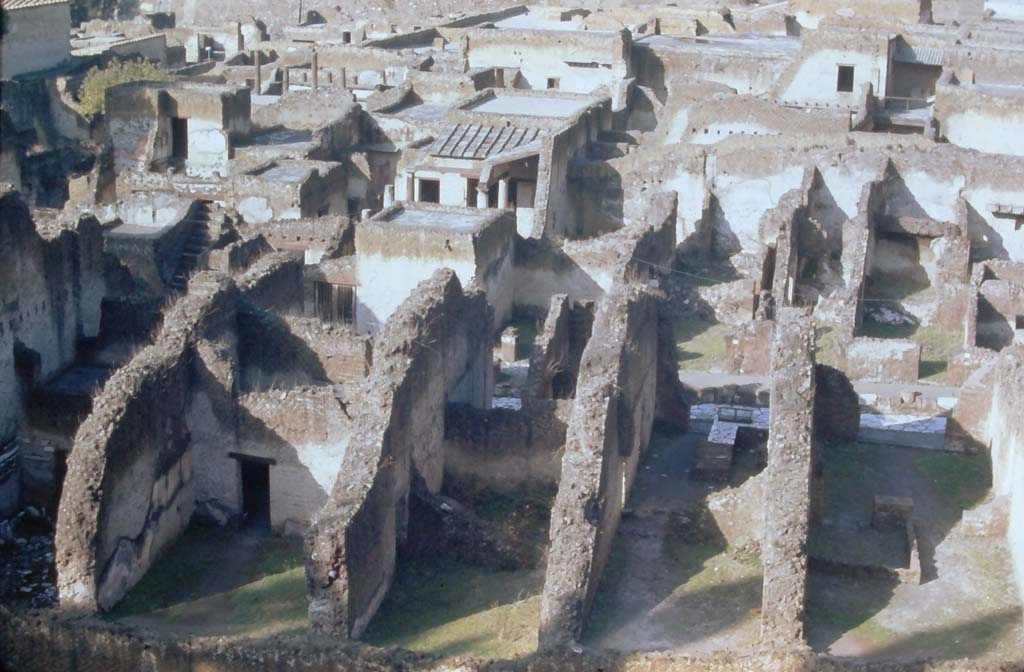 Herculaneum, rear of Ins. Or. II, 4th December 1971,
(starting from left) - rear room of Ins. Or. II.10, rear room of Ins. Or. II.11,
rear room of Ins. Or. II.13, behind Ins. Or. II.12 (in centre).
Looking through Ins. Or. II.13 across counter with glass display case towards the roadway Cardo V, and looking through Ins. Or. II.14 to roadway, on right.
Photo courtesy of Rick Bauer, from Dr George Fay’s slides collection.